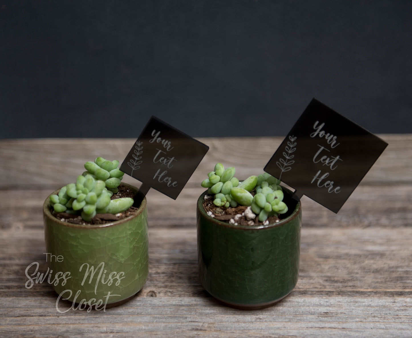 20 Custom Square Succulent Tags Picks for Favors Herb Potted Plant Favors Wood Weddings 1st Communion Bridal Baby Shower