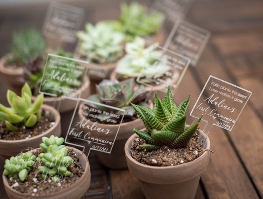 20 Custom Square Succulent Tags Picks for Favors Herb Potted Plant Favors Wood Weddings 1st Communion Bridal Baby Shower