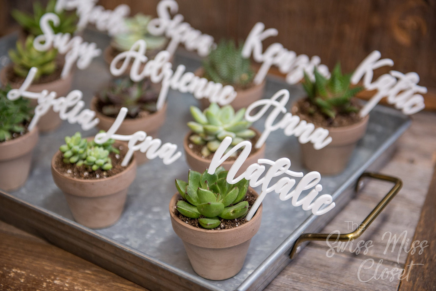 Custom Name Tag Cards Laser Cut Succulent Plant Picks Favors Stakes Wedding Shower Brunch Bridal Décor Sticks